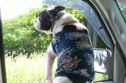 オフ会 2006.10.15 2 004a.jpg