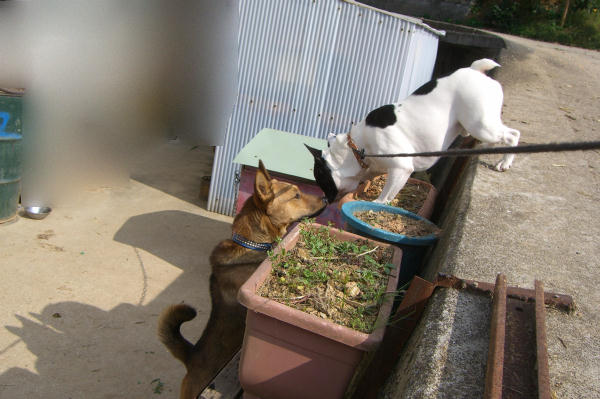 オフ会　2006.10.15 2 081i.jpg