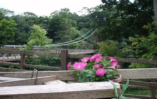 花と吊橋