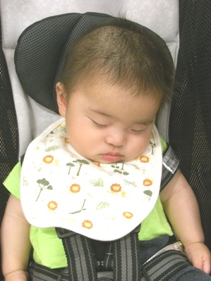 ふがいない試合を見てふて寝する駿さま