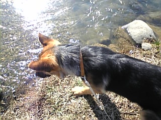 おみず*のみたいわぁ