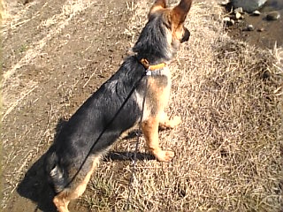 たくましく*なるわ