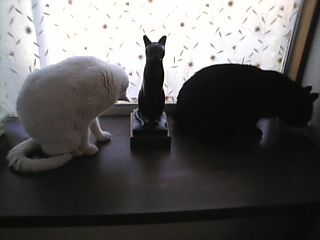 りん*まだかしら　みん*もうちょっと