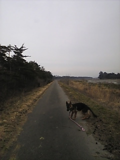 かあさん*はやく～