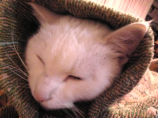 しんぱいかけて*ごめんなさい