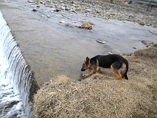 なんとなく*こわいなぁ