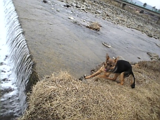 やっぱり*こわい～