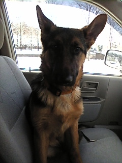 おねがい*します　わん