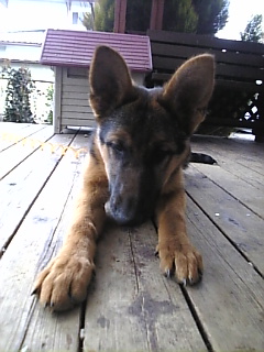 よろしく*おねがいします