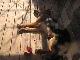 おしごと*したわ～