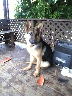 いったい*だれが。。。