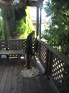 どちらさま*ですか