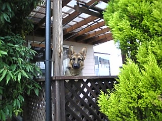 おかえり*なさぁい