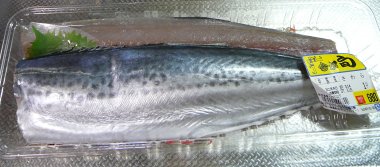 中国産サゴシって！？