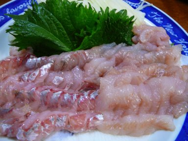 アイナメとホウボウな刺身、長男作！