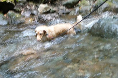 すごく気持ちいいぃ！！！