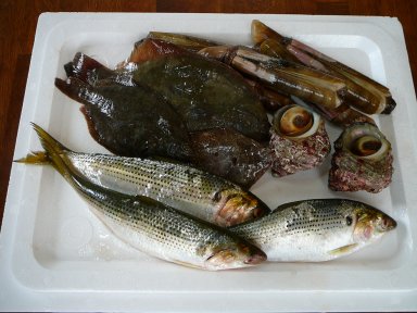 その他大勢！？