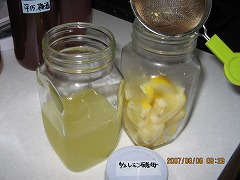 lemon酵母