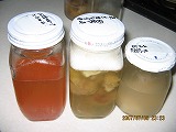 7.6いちご・うめ・桃酵母
