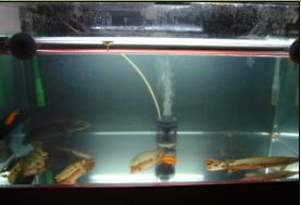 2008.1.19-1200tank-kakou.JPG