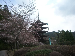 国宝瑠璃光寺2.JPG