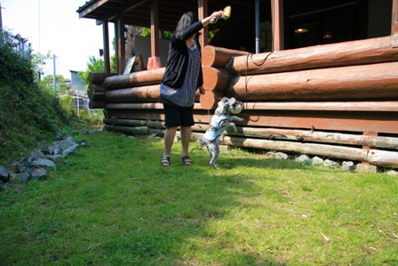 turumi0941.JPG