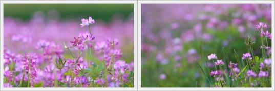 renge0705-tile.jpg
