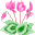 cyclamen.gif