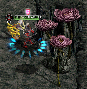 セントロード花