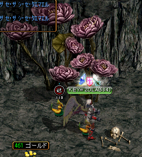 セントロード花２