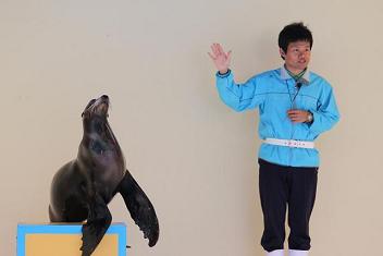 アシカショー02