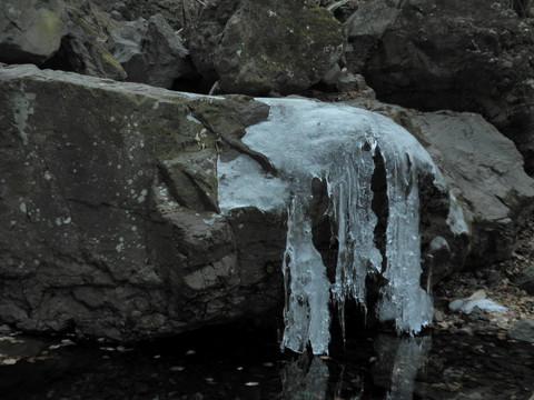 P1310670.jpg
