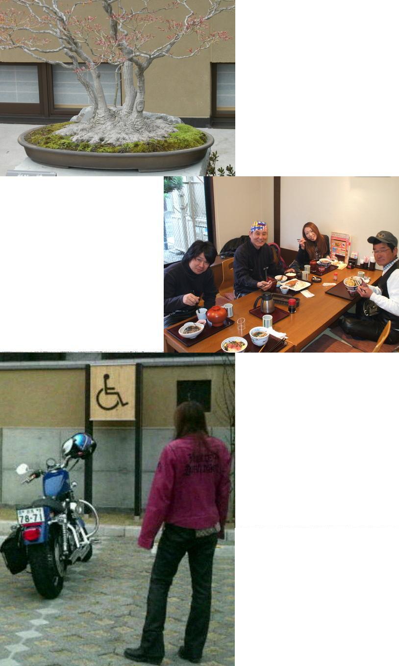 3.JPG