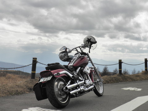 P4101036.jpg