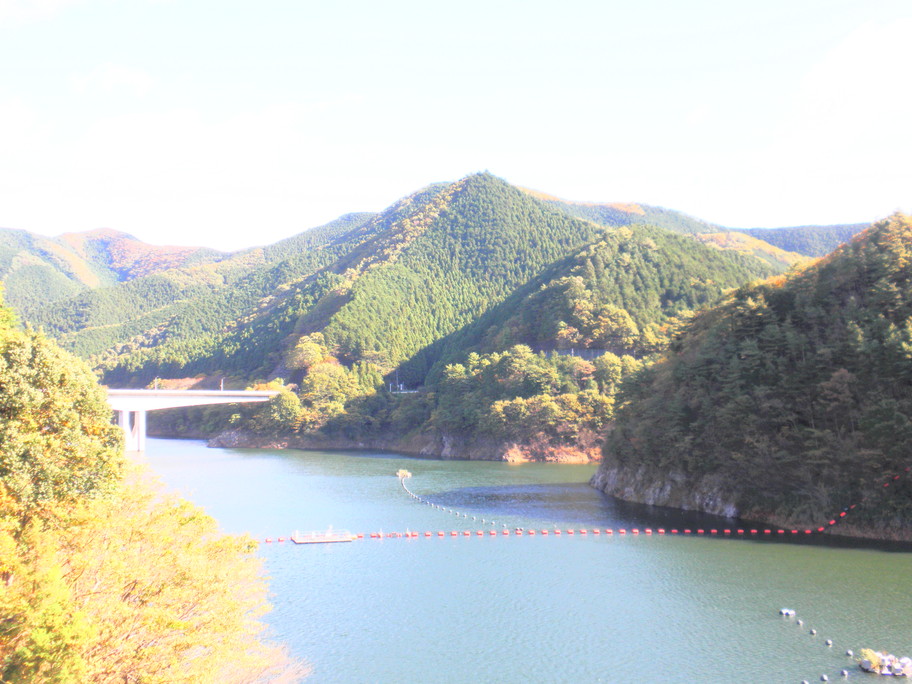 PB030290.jpg
