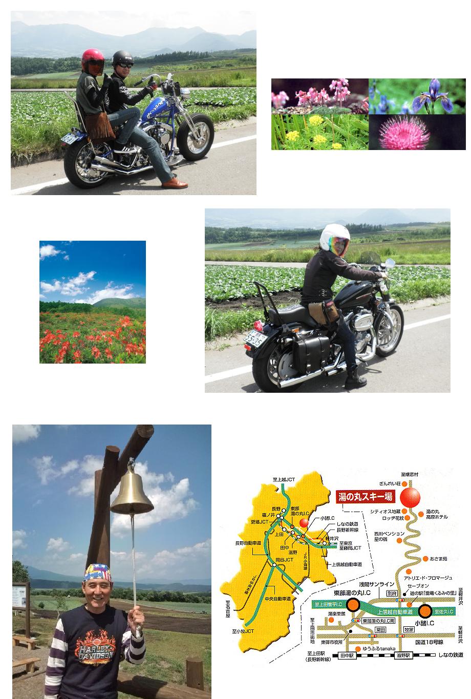 4.JPG