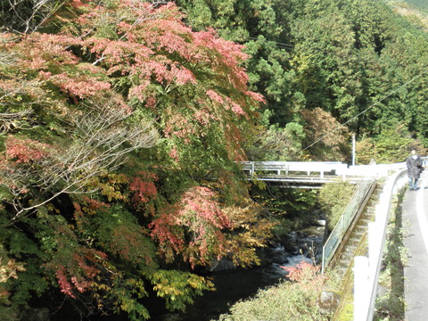PB030300.jpg
