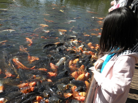 PB030304.jpg