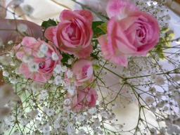 プリザーブドフラワー用