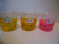 プリフラ制作中