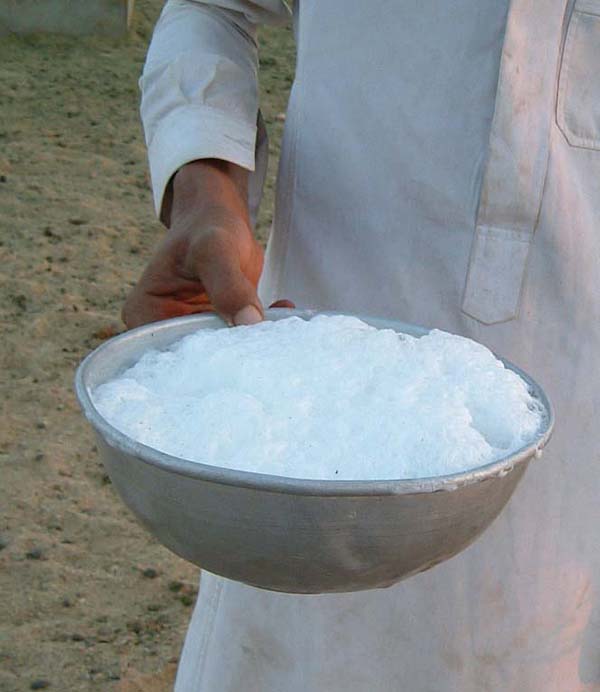 ボウルのラクダミルク