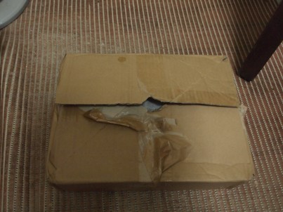 sP8292813.JPG