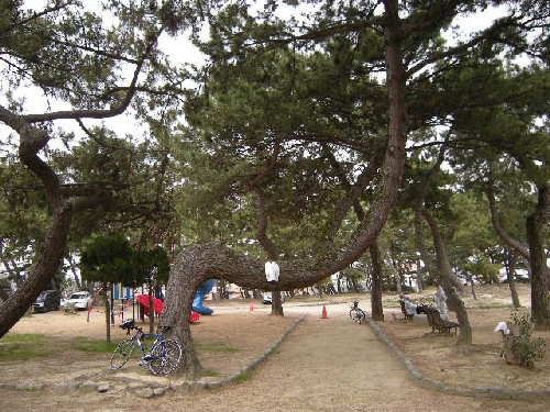 DSCN2002.JPG