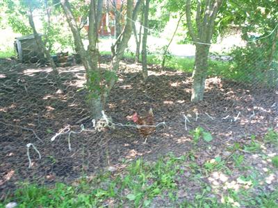 三友牧場＠中標津