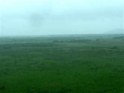 湿原　風のアリーナ