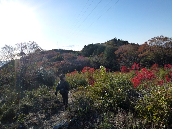 2011.12.04 013東山.JPG