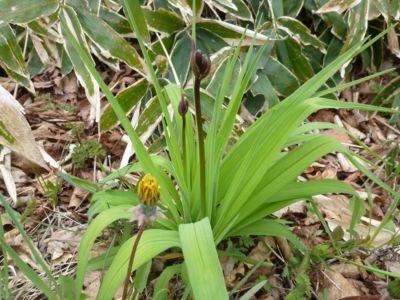 2011.06.01-02 117_R.jpg