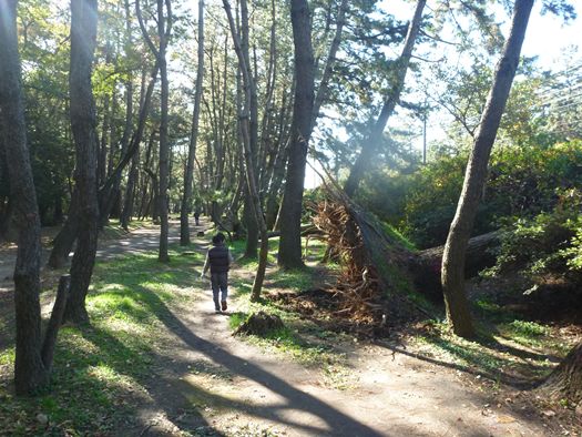 高師公園