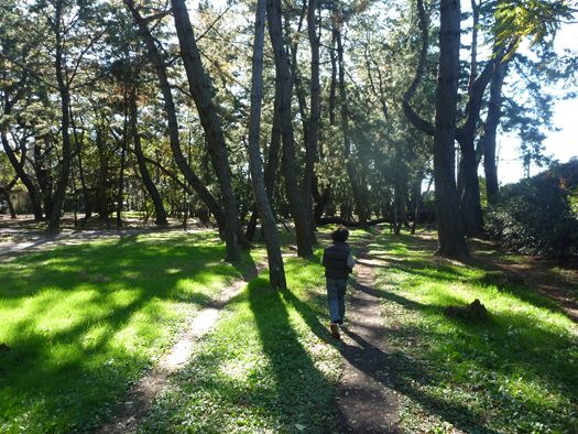 高師公園