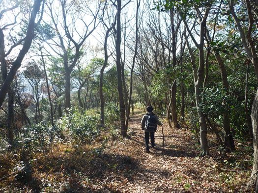 東山登山